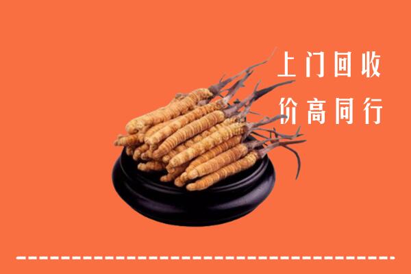 高价求购：葫芦岛回收散虫草