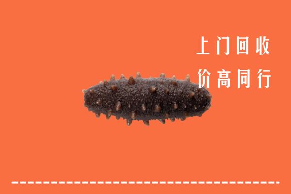 高价求购：葫芦岛回收海参